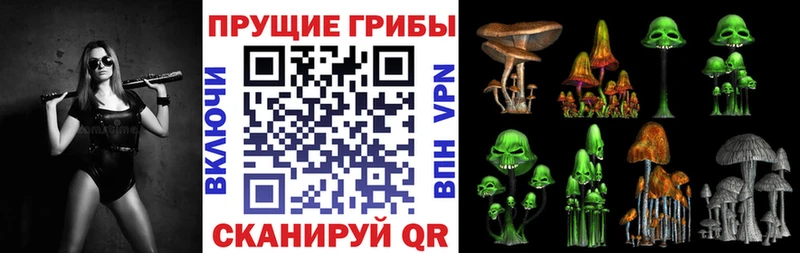 Купить  Старый Крым  Псилоцибиновые грибы MAGIC MUSHROOMS 